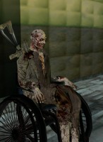 /album/fotogaleria/snap-ihhcn26feq642575116-jpg/